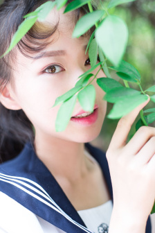 叶子楣在线电影免费播放
